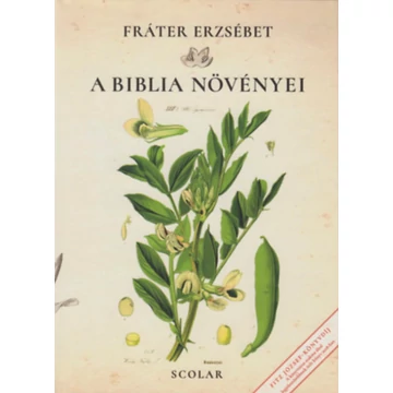 abiblianovenyei.jpg