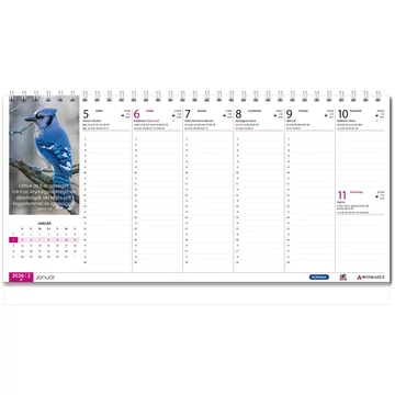 2026 Asztali naptár, nagy – Bátorító idézetek a Bibliából