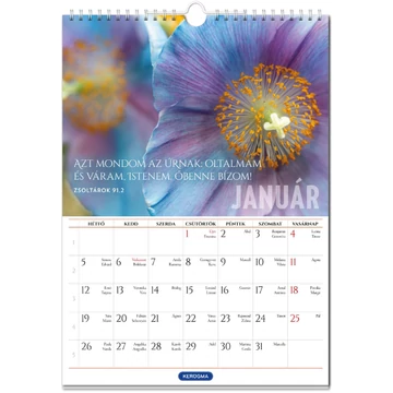 2026 Falinaptár – nagy, spirál, virágos– Nem kell félned