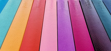 Újonnan Revideált Károli Biblia