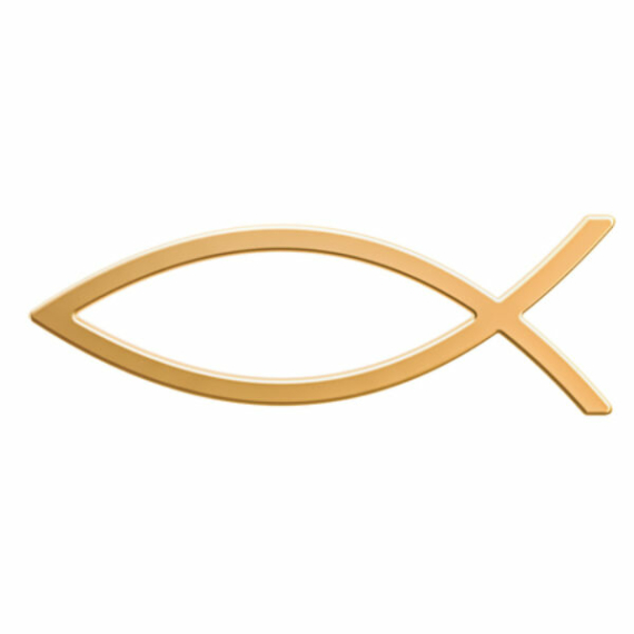 Autó embléma (hal, nagy, arany színű) 13cm