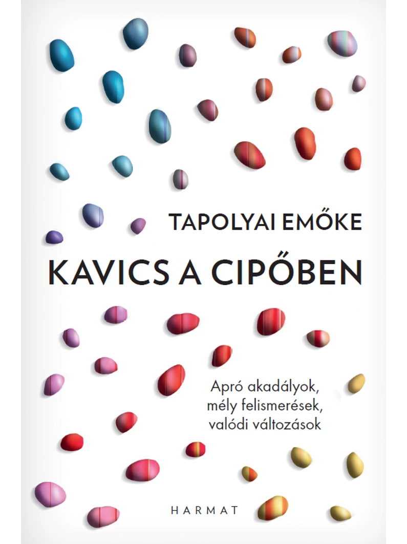 Kavics a cipőben - Tapolyai Emőke