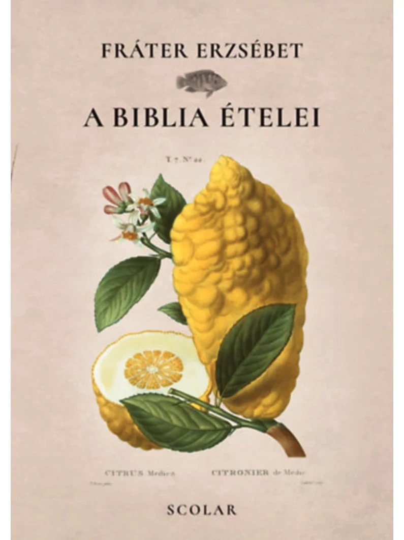 A Biblia ételei – Fráter Erzsébet