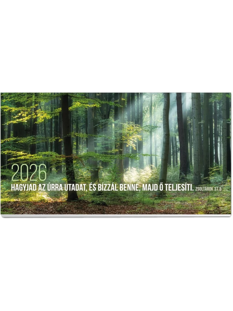 2026 Zsebnaptár – erdő