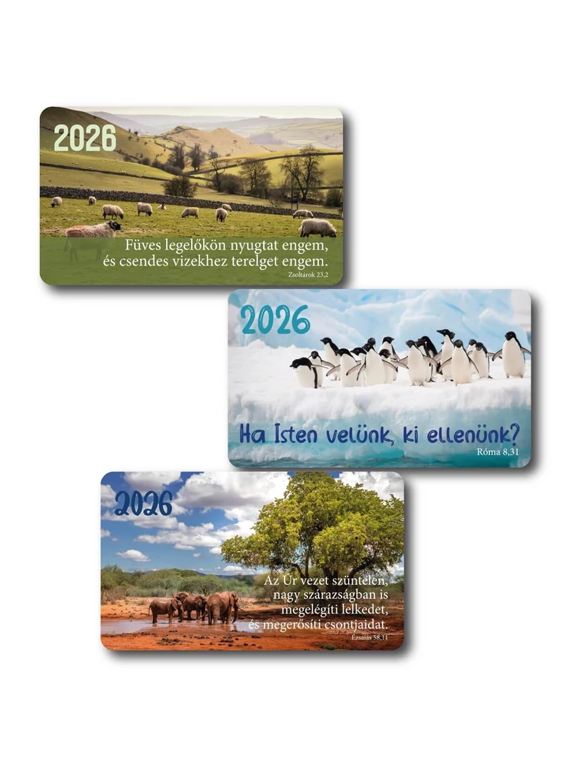 2026 Kártyanaptár csomag (3x10 db) – elefánt, pingvin, bárány
