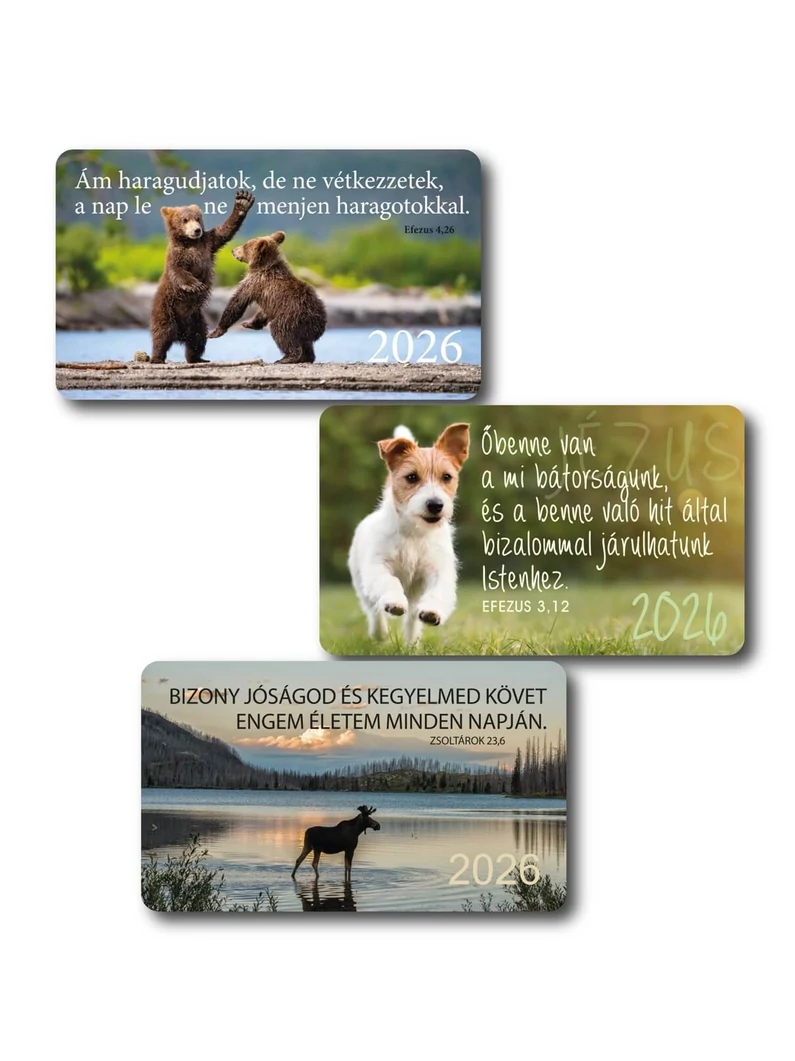 2026 Kártyanaptár csomag (3x10 db) – jávorszarvas, kutya, medve